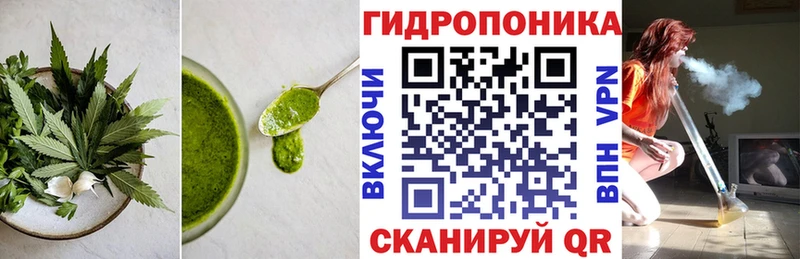 где найти наркотики  Пестово  Еда ТГК конопля 
