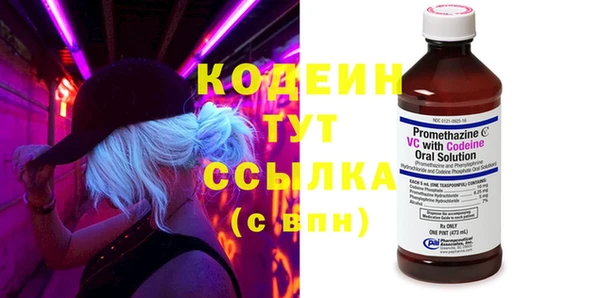 соль ск Вяземский